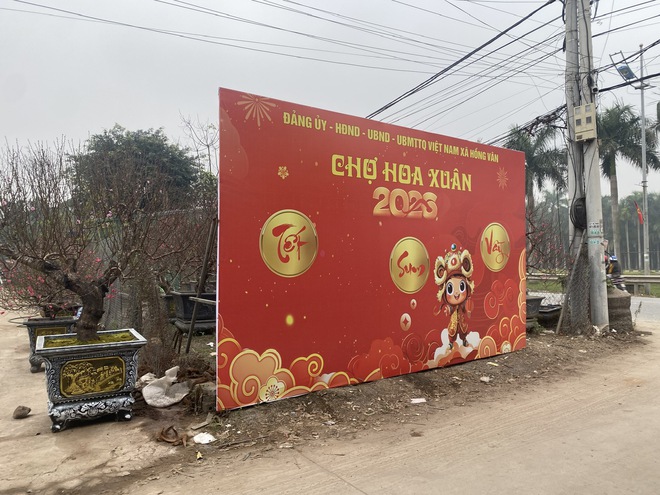 Xã Hồng Vân tổ chức chợ hoa xuân phục vụ tết nguyên đán bính ngọ 2026- Ảnh 1.