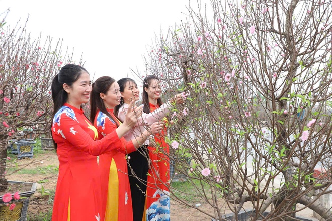 Xã Hồng Vân tổ chức chợ hoa xuân phục vụ tết nguyên đán bính ngọ 2026- Ảnh 4.