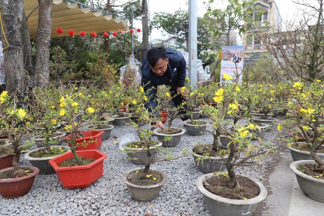 Xã Hồng Vân tổ chức chợ hoa xuân phục vụ tết nguyên đán bính ngọ 2026- Ảnh 7.
