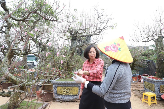 Xã Hồng Vân tổ chức chợ hoa xuân phục vụ tết nguyên đán bính ngọ 2026- Ảnh 8.