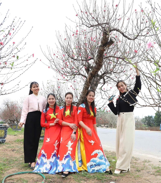 Xã Hồng Vân tổ chức chợ hoa xuân phục vụ tết nguyên đán bính ngọ 2026- Ảnh 5.