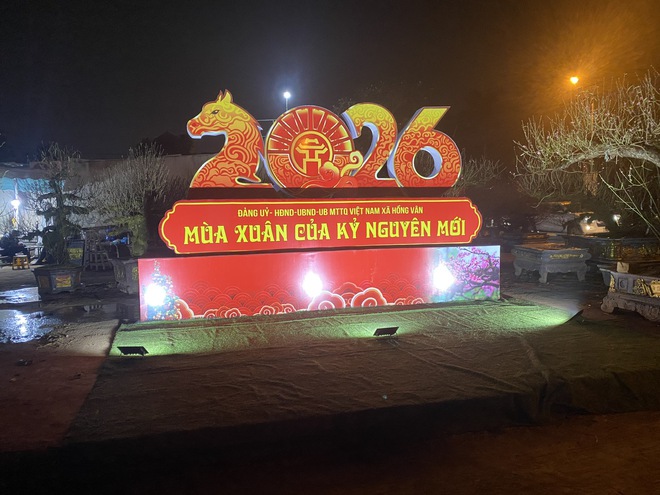 Xã Hồng Vân tổ chức chợ hoa xuân phục vụ tết nguyên đán bính ngọ 2026- Ảnh 2.