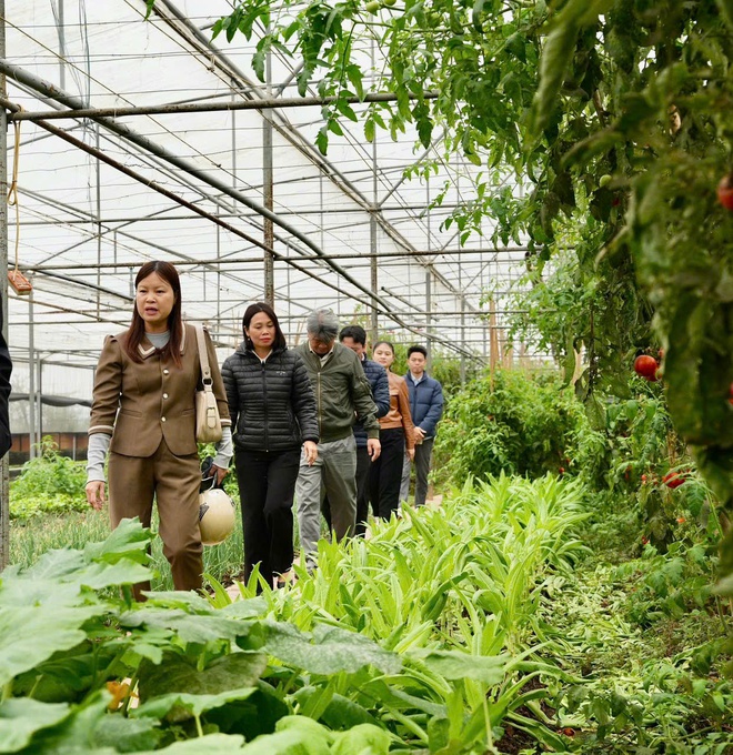 Chi cục Trồng trọt và Bảo vệ thực vật Hà Nội kiểm tra tình hình sản xuất nông nghiệp tại xã Hồng Vân  - Ảnh 2.