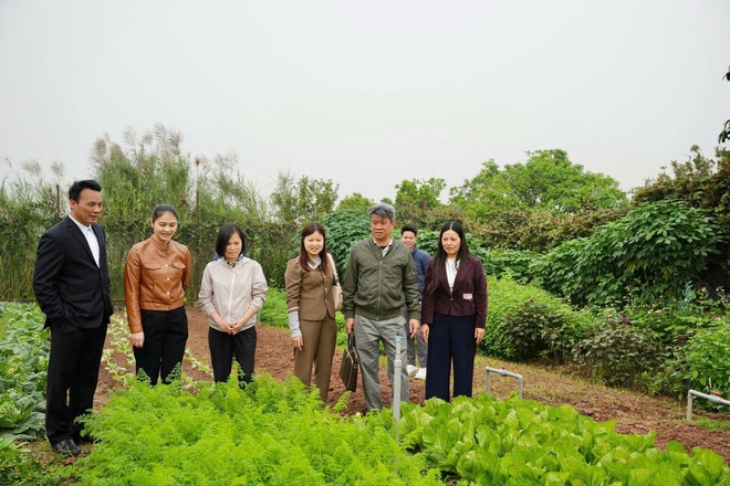 Chi cục Trồng trọt và Bảo vệ thực vật Hà Nội kiểm tra tình hình sản xuất nông nghiệp tại xã Hồng Vân  - Ảnh 3.