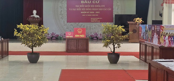 PHÓ BÍ THƯ THƯỜNG TRỰC ĐẢNG ỦY, CHỦ TỊCH ỦY BAN MTTQ VIỆT NAM XÃ TRUNG GIÃ-  Đ/C NGUYỄN THỊ KIM TUYẾN- KIỂM TRA CÔNG TÁC CHUẨN BỊ BẦU CỬ TẠI CÁC KHU VỰC BỎ PHIẾU- Ảnh 1.