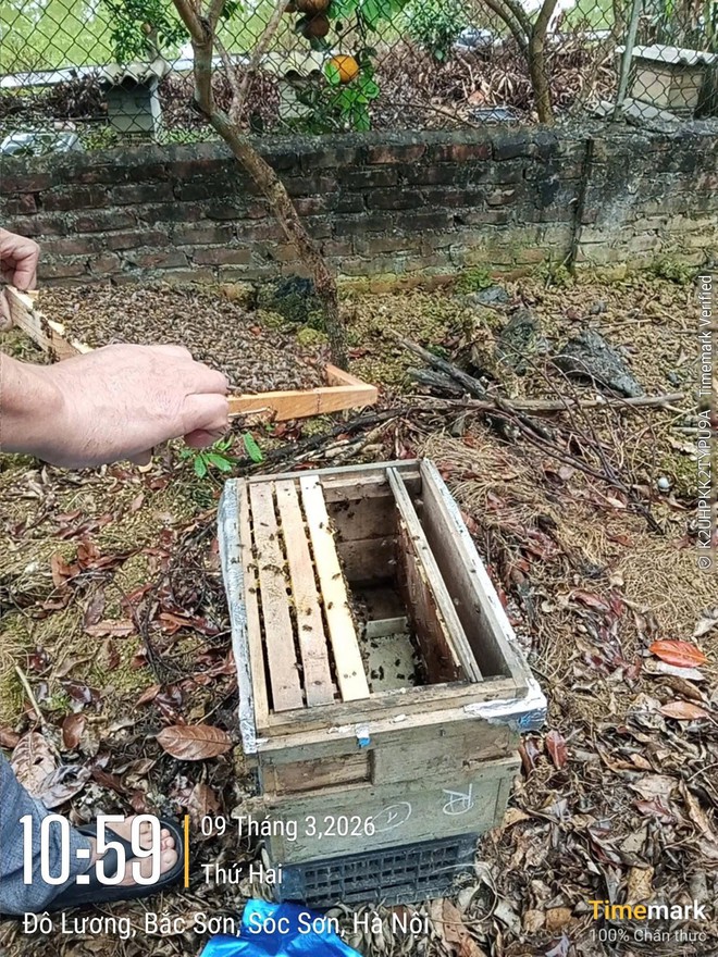 NÔNG DÂN XÃ TRUNG GIÃ MẠNH DẠN PHÁT TRIỀN MÔ HÌNH KINH TẾ TỔNG HỢP, THU NHẬP HÀNG TRĂM TRIỆU ĐỒNG - Ảnh 4.