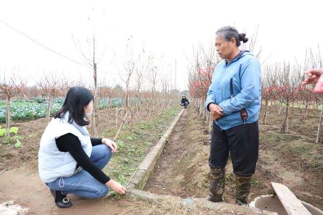 Xã Hồng Vân nỗ lực giải phóng mặt bằng dự án khu đô thị thể thao Olympic- Ảnh 3.