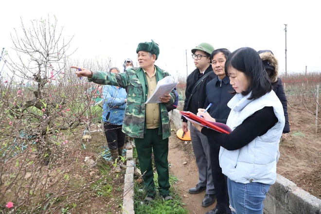 Xã Hồng Vân nỗ lực giải phóng mặt bằng dự án khu đô thị thể thao Olympic- Ảnh 4.