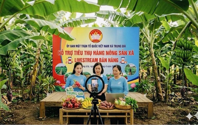 THÔNG BÁO PHIÊN LIVESTREAM ĐẶC BIỆT HỖ TRỢ TIÊU THỤ NÔNG SẢN CỦA XÃ TRUNG GIÃ- Ảnh 2.