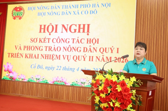 HỘI NÔNG DÂN XÃ CỔ ĐÔ SƠ KẾT CÔNG TÁC QUÝ I, TRIỂN KHAI NHIỆM VỤ QUÝ II NĂM 2026- Ảnh 3.