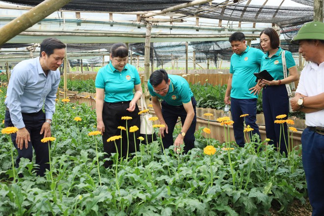 HỘI NÔNG DÂN XÃ CỔ ĐÔ TỔ CHỨC THAM QUAN MÔ HÌNH NÔNG NGHIỆP CÔNG NGHỆ CAO TẠI HUYỆN ĐAN PHƯỢNG- Ảnh 3.