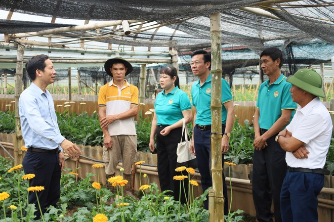 HỘI NÔNG DÂN XÃ CỔ ĐÔ TỔ CHỨC THAM QUAN MÔ HÌNH NÔNG NGHIỆP CÔNG NGHỆ CAO TẠI HUYỆN ĐAN PHƯỢNG- Ảnh 4.