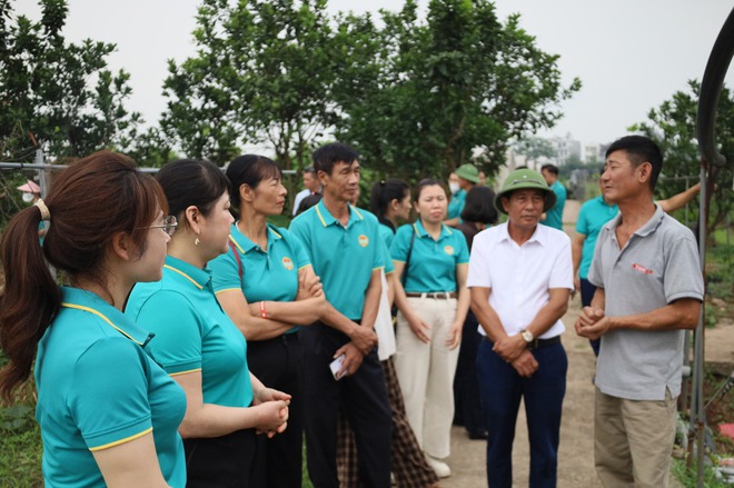 HỘI NÔNG DÂN XÃ CỔ ĐÔ TỔ CHỨC THAM QUAN MÔ HÌNH NÔNG NGHIỆP CÔNG NGHỆ CAO TẠI HUYỆN ĐAN PHƯỢNG- Ảnh 2.