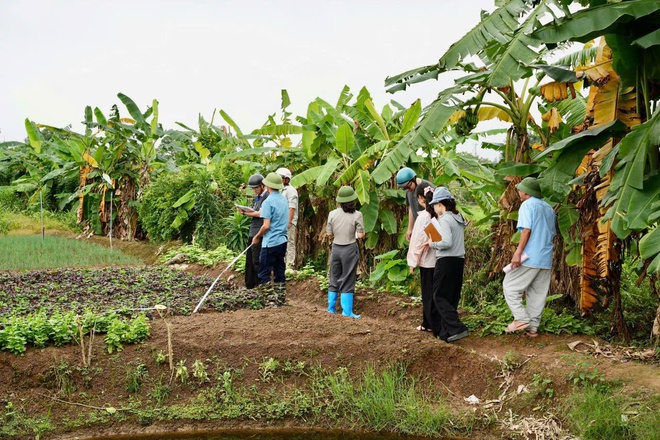Xã Hồng Vân đẩy nhanh công tác kiểm đếm phục vụ công tác bồi thường, hỗ trợ giải phóng mặt bằng thực hiện Dự án Khu đô thị thể thao Olympic- Ảnh 3.