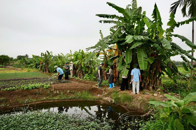 Xã Hồng Vân đẩy nhanh công tác kiểm đếm phục vụ công tác bồi thường, hỗ trợ giải phóng mặt bằng thực hiện Dự án Khu đô thị thể thao Olympic- Ảnh 5.