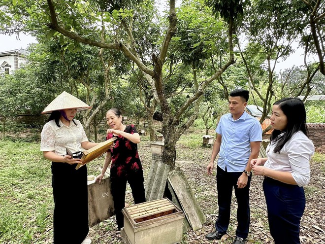 LÃNH ĐẠO XÃ TRUNG GIÃ ĐI KHẢO SÁT, ĐÁNH GIÁ HIỆU QUẢ CÁC MÔ HÌNH KINH TẾ TIÊU BIỂU TRÊN ĐỊA BÀN XÃ- Ảnh 2.