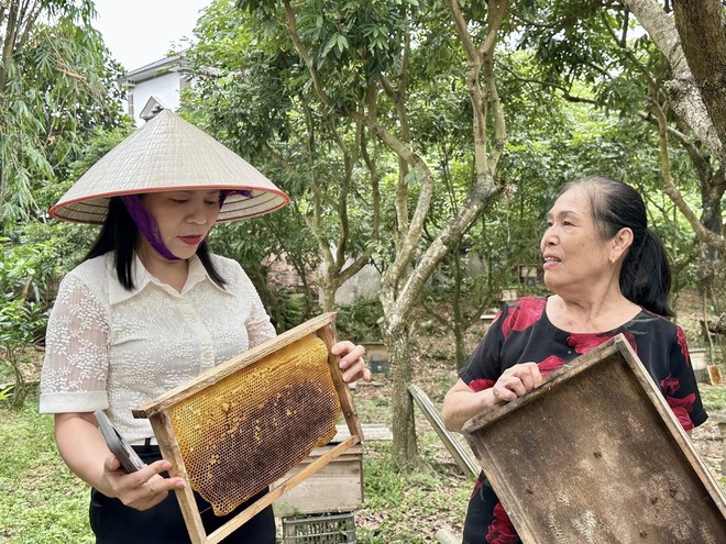 LÃNH ĐẠO XÃ TRUNG GIÃ ĐI KHẢO SÁT, ĐÁNH GIÁ HIỆU QUẢ CÁC MÔ HÌNH KINH TẾ TIÊU BIỂU TRÊN ĐỊA BÀN XÃ- Ảnh 3.