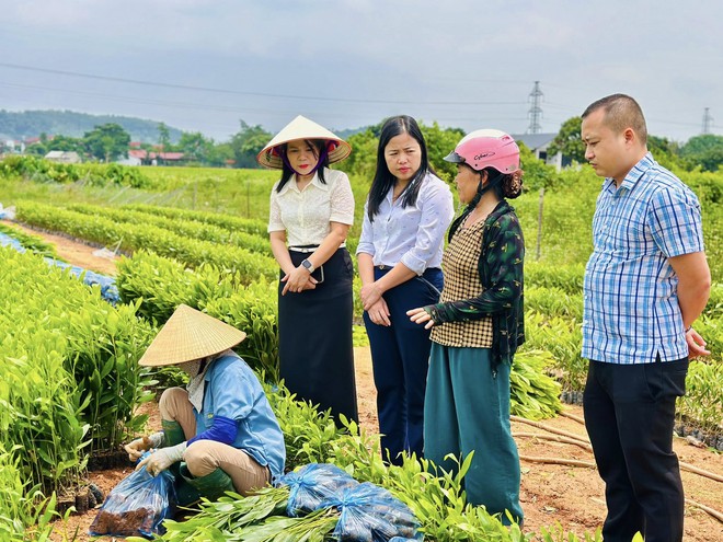 LÃNH ĐẠO XÃ TRUNG GIÃ ĐI KHẢO SÁT, ĐÁNH GIÁ HIỆU QUẢ CÁC MÔ HÌNH KINH TẾ TIÊU BIỂU TRÊN ĐỊA BÀN XÃ- Ảnh 5.