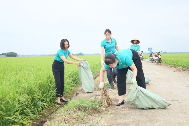 HỘI NÔNG DÂN XÃ CỔ ĐÔ PHÁT ĐỘNG PHONG TRÀO THU GOM BAO BÌ THUỐC BẢO VỆ THỰC VẬT, BẢO VỆ MÔI TRƯỜNG- Ảnh 2.