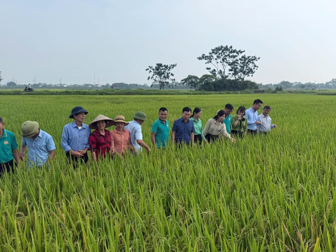 HỘI NÔNG DÂN XÃ TRUNG GIÃ RA MẮT CÁC MÔ HÌNH MỚI, GÓP PHẦN XÂY DỰNG NÔNG THÔN XANH – SẠCH – HIỆN ĐẠI- Ảnh 6.
