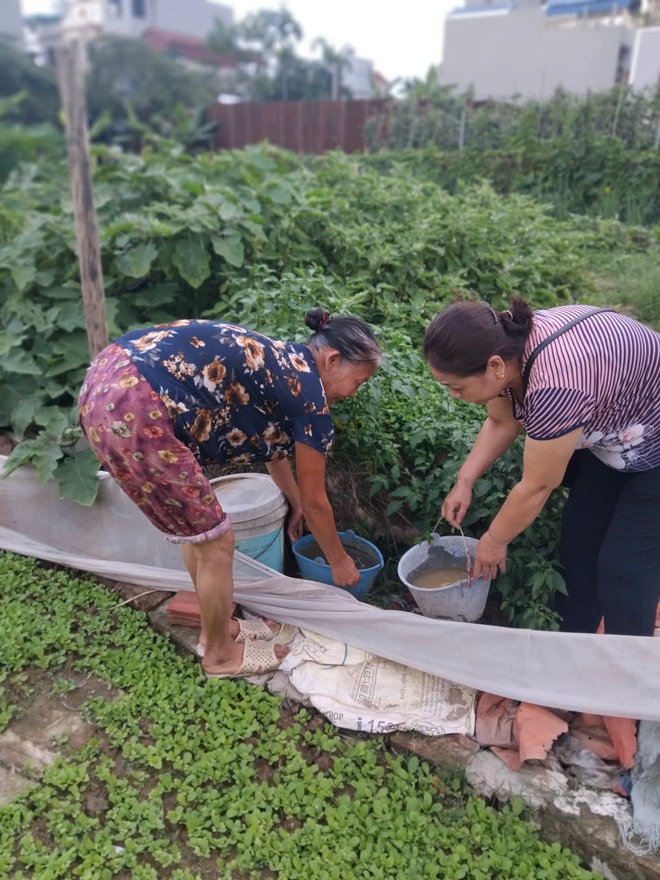 Nhiều Tổ dân phố ở phường Phú Lương tích cực ra quân phòng chống sốt xuất huyết- Ảnh 4.