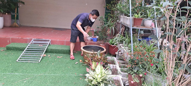 Nhiều Tổ dân phố ở phường Phú Lương tích cực ra quân phòng chống sốt xuất huyết- Ảnh 10.