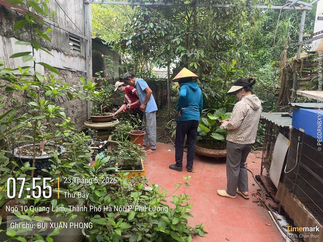 Nhiều Tổ dân phố ở phường Phú Lương tích cực ra quân phòng chống sốt xuất huyết- Ảnh 6.