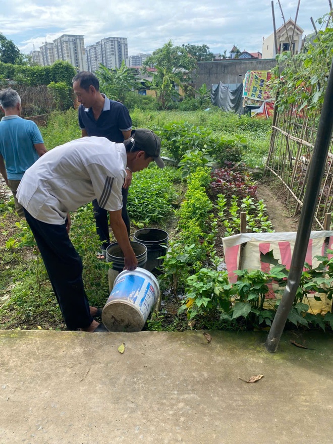 Nhiều Tổ dân phố ở phường Phú Lương tích cực ra quân phòng chống sốt xuất huyết- Ảnh 3.