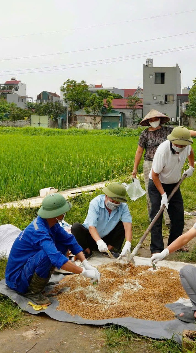 Xã Hồng Vân triển khai chiến dịch diệt chuột tập trung vụ xuân năm 2026- Ảnh 3.