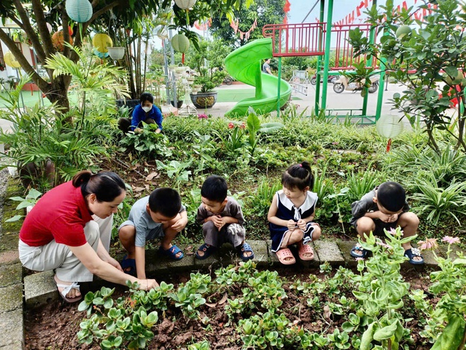 Trường mầm non Ninh Sở hưởng ứng tháng hành động vì môi trường, ngày đại dương thế giới; tuần lễ biển và hải đảo việt nam năm 2026- Ảnh 4. Trường mầm non Ninh Sở hưởng ứng tháng hành động vì môi trường, ngày đại dương thế giới; tuần lễ biển và hải đảo việt nam năm 2026- Ảnh 4.