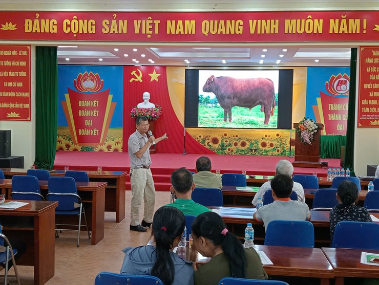 Hội nghị tập huấn Kỹ thuật chăn nuôi bò thịt tại xã Minh Tân, Quang Lãng- Ảnh 1.