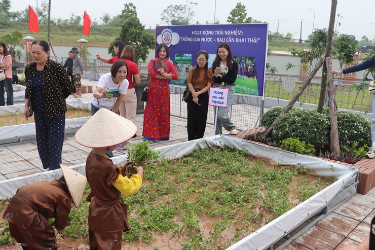 Đặc sắc các hoạt động trải nghiệm tại trường Mầm non Khai Thái- Ảnh 7.