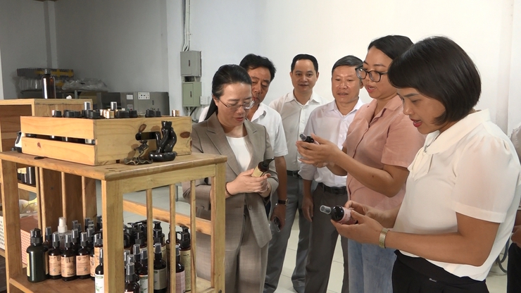 Chủ tịch Hội Nông dân Thành phố Hà Nội khảo sát thông tin về xây dựng mô hình tập trung tích tụ ruộng đất trên địa bàn huyện Ứng Hoà- Ảnh 3.