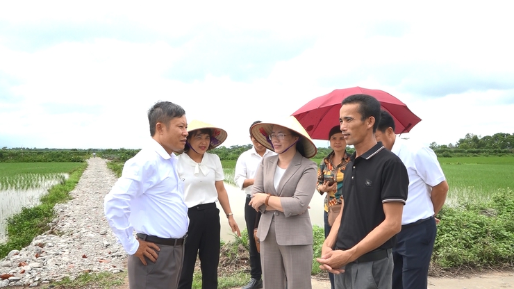 Chủ tịch Hội Nông dân Thành phố Hà Nội khảo sát thông tin về xây dựng mô hình tập trung tích tụ ruộng đất trên địa bàn huyện Ứng Hoà- Ảnh 2.