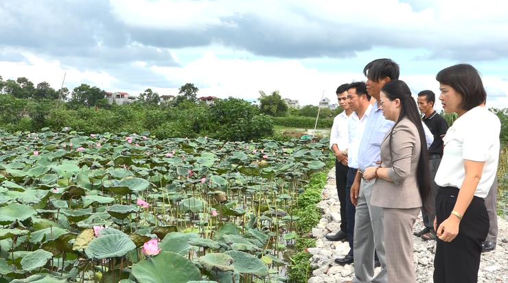 Chủ tịch Hội Nông dân Thành phố Hà Nội khảo sát thông tin về xây dựng mô hình tập trung tích tụ ruộng đất trên địa bàn huyện Ứng Hoà- Ảnh 1.
