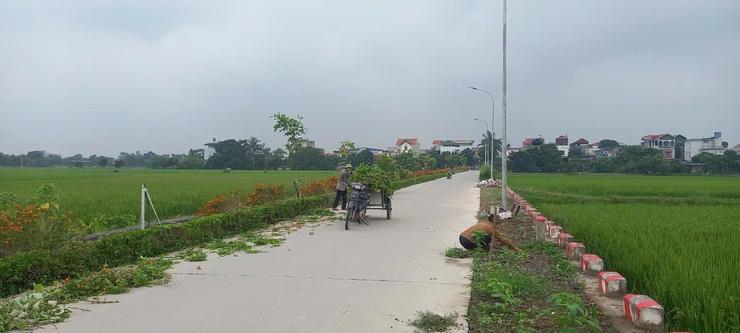 Đường làng NTM- Ảnh 1.