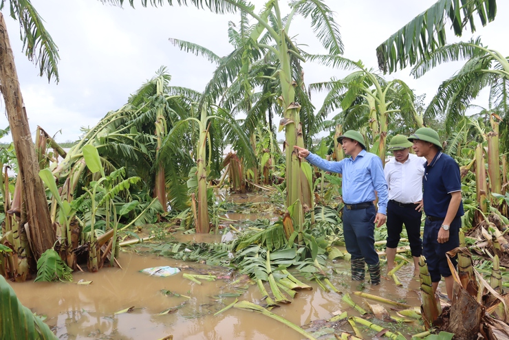 Các đồng chí lãnh đạo huyện đề nghị các địa phương triển khai phương án di dời các hộ dân trong khu vực ngập lụt- Ảnh 3.