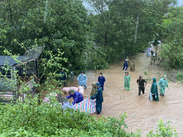 Các địa phương thực hiện tốt việc di dời người dân, tài sản, vật nuôi trong khu vực ảnh hưởng ngập lũ- Ảnh 5.