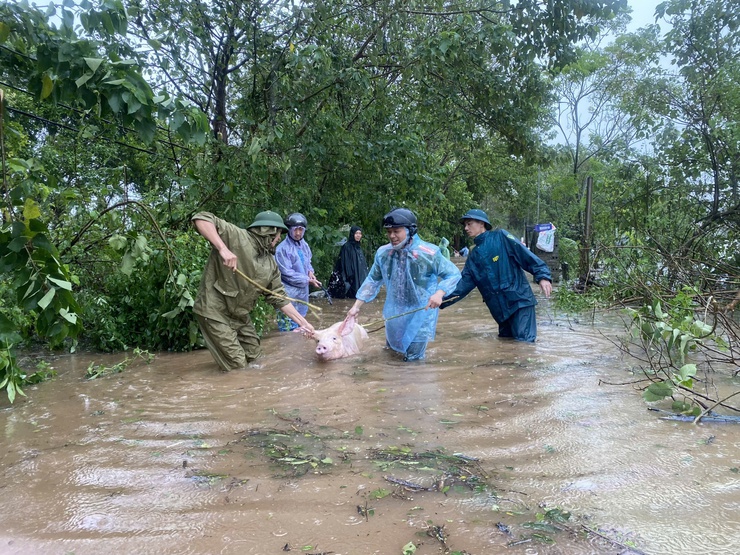 Các địa phương thực hiện tốt việc di dời người dân, tài sản, vật nuôi trong khu vực ảnh hưởng ngập lũ- Ảnh 6.