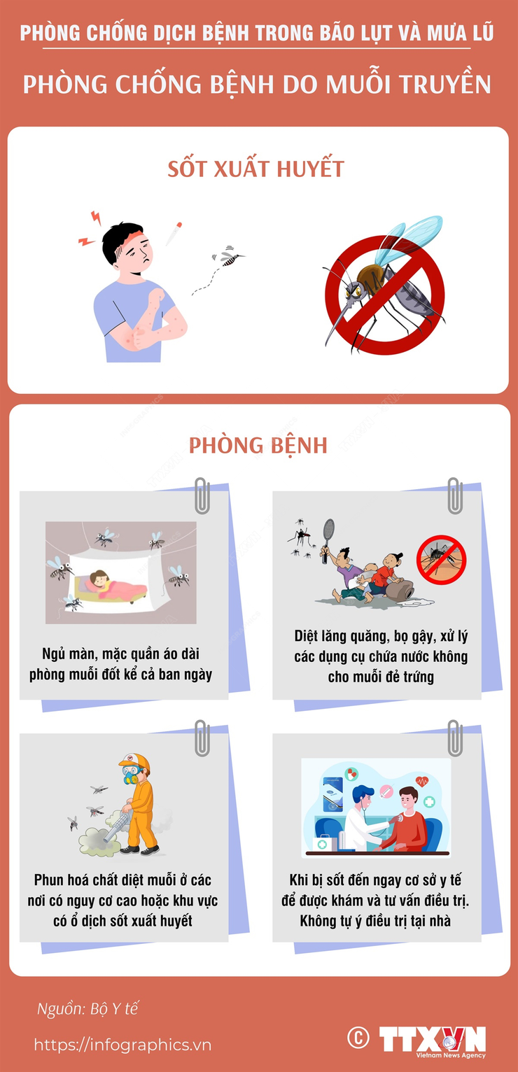 [Infographic] Phòng chống bệnh do muỗi truyền- Ảnh 1.