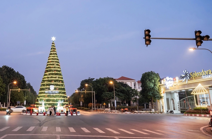 Huyện Hoài Đức tổ chức chợ hoa xuân phục vụ Tết Nguyên đán Ất Tỵ 2025- Ảnh 4.