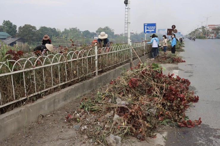 Huyện Phú Xuyên bảo vệ môi trường song hành với xây dựng nông thôn mới- Ảnh 2.