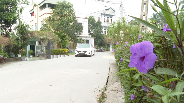 Xã NTM kiểu mẫu Phú Yên đón Xuân về- Ảnh 1.