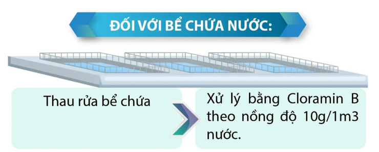 Hướng dẫn vệ sinh môi trường sau ngập lụt- Ảnh 3.