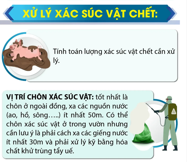 Hướng dẫn vệ sinh môi trường sau ngập lụt- Ảnh 8.
