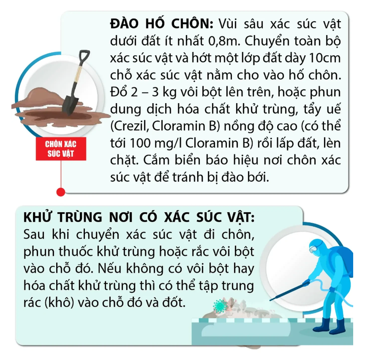 Hướng dẫn vệ sinh môi trường sau ngập lụt- Ảnh 9.