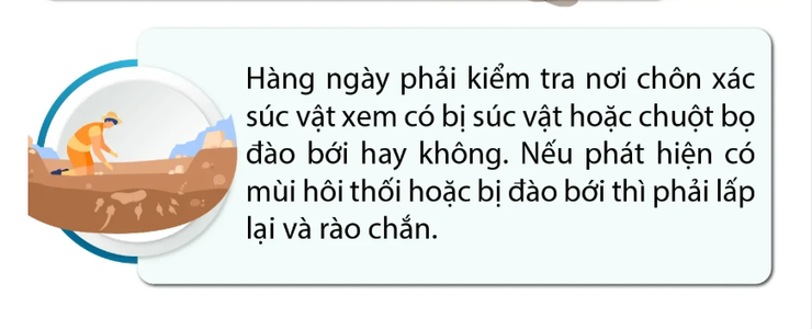 Hướng dẫn vệ sinh môi trường sau ngập lụt- Ảnh 10.