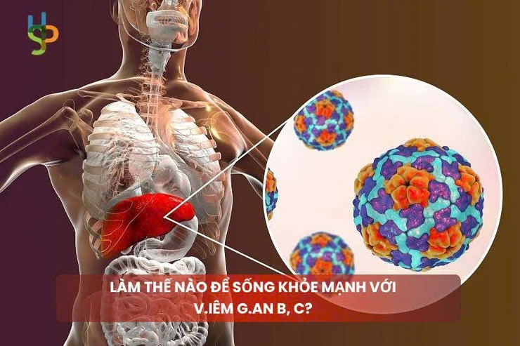 Chủ động điều trị, tuân thủ chỉ định và duy trì lối sống khoa học là chìa khóa để người bệnh viêm gan B, C sống khỏe mạnh- Ảnh 1.