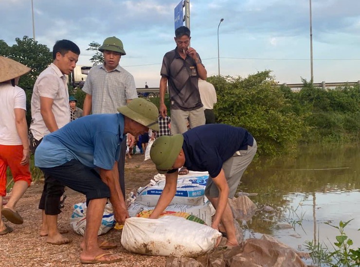 THÔN THỤY HƯƠNG GIA CỐ ĐÊ NGĂN LỤT TRÀN- Ảnh 4.