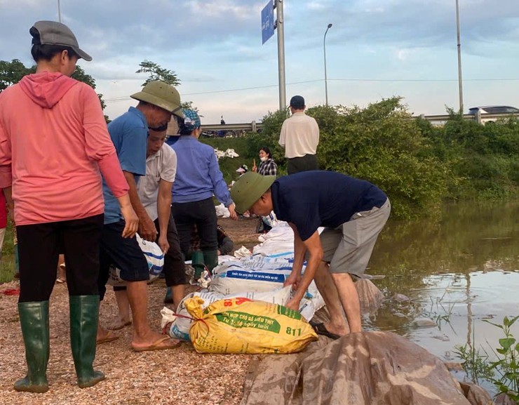 THÔN THỤY HƯƠNG GIA CỐ ĐÊ NGĂN LỤT TRÀN- Ảnh 5.